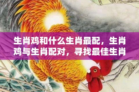 举世无双 第5页