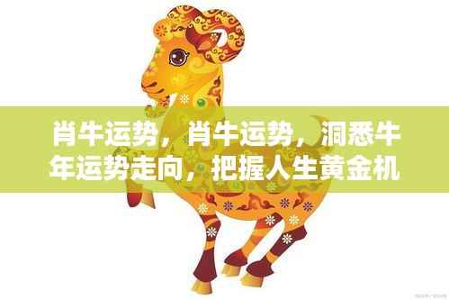 望其项背 第7页