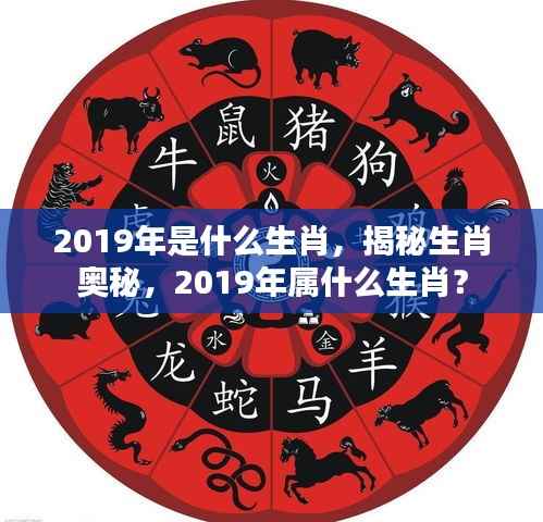 揭秘生肖奥秘，2019年属猪的奥秘与特点解析
