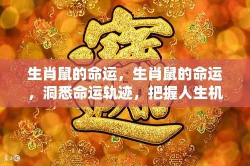 生肖鼠命运解析，洞悉人生轨迹，把握机遇之门