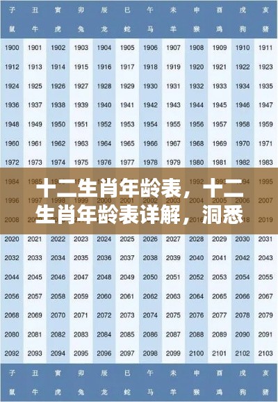 早生贵子 第5页