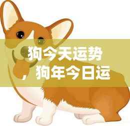 今日狗年运势概览，宠物犬的幸运时刻