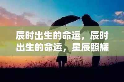 辰时出生的命运，星辰照耀下的独特人生轨迹探索