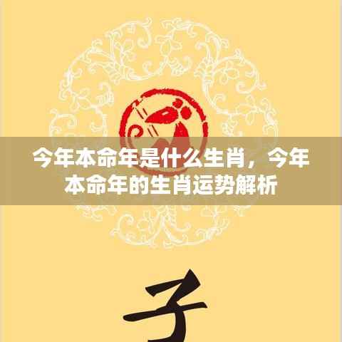 今年本命年生肖运势解析及生肖运势展望