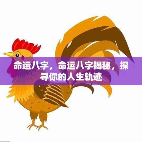 命运八字揭秘，探寻人生轨迹的奥秘