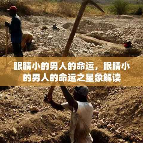 花样新翻 第5页