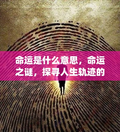 井底之蛙 第6页