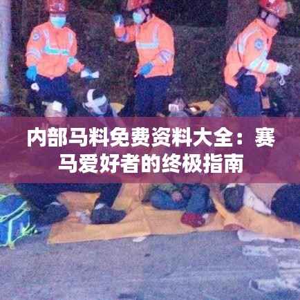 内部马料免费资料大全:赛马爱好者的终极指南