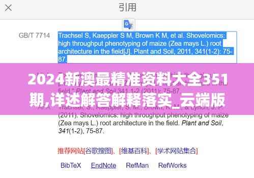 2024新澳最精准资料大全351期,详述解答解释落实_云端版9.195