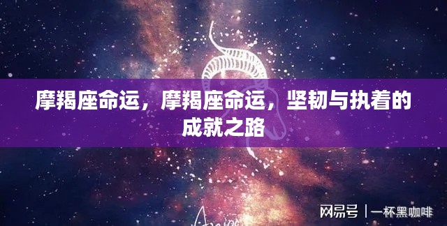 司空见惯 第5页