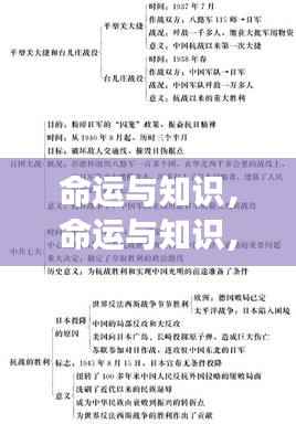 命运与知识，揭秘星座运势背后的深层逻辑探索