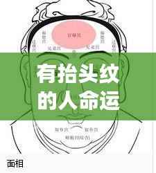 抬头纹与命运，面相解读人生轨迹的微妙关联