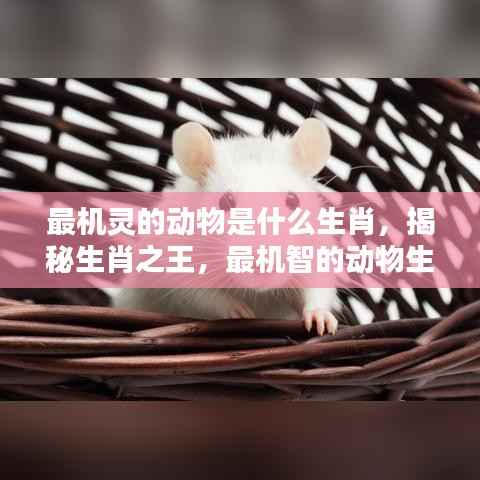 间不容发 第5页