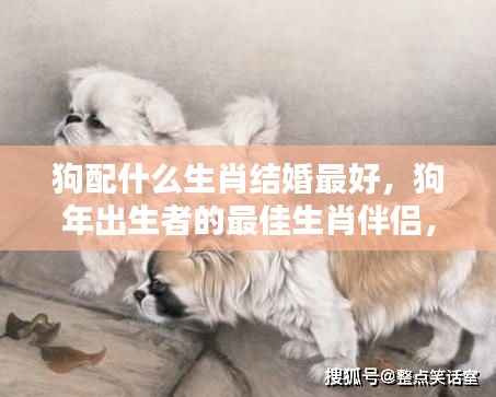 揭秘生肖婚配奥秘，狗年出生者的最佳生肖伴侣搭配指南