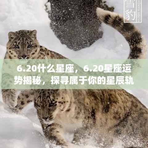 20星座运势揭秘，探寻属于你的星辰轨迹，掌握未来运势走向