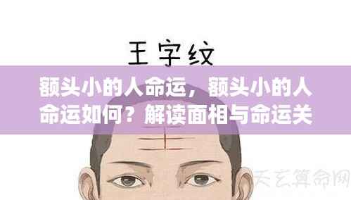 学贯中西 第4页