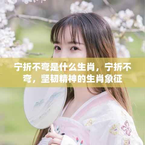 随圆就方 第5页