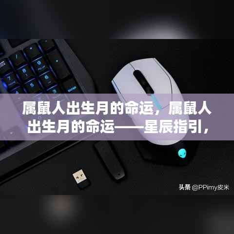 还朴反古 第6页