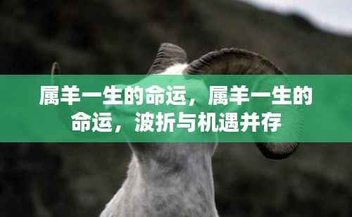 富贵功名 第3页