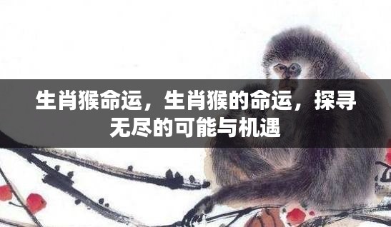 林下风范 第4页