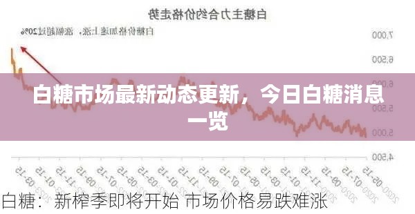 继晷焚膏 第4页