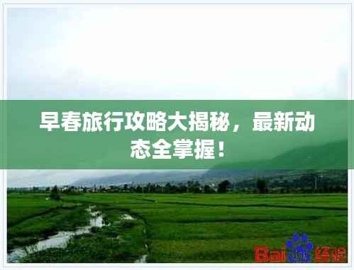 橘虞初梦 第4页