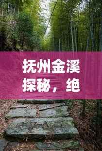 箪瓢陋室 第4页