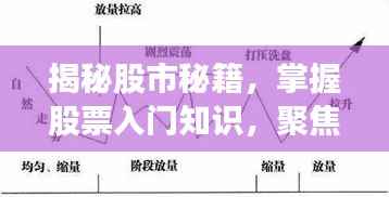 将机就机 第4页