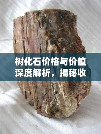 意气风发 第5页