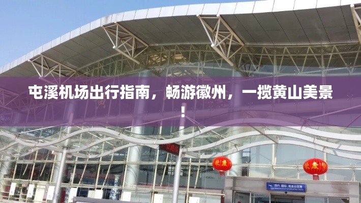 反正还淳 第4页