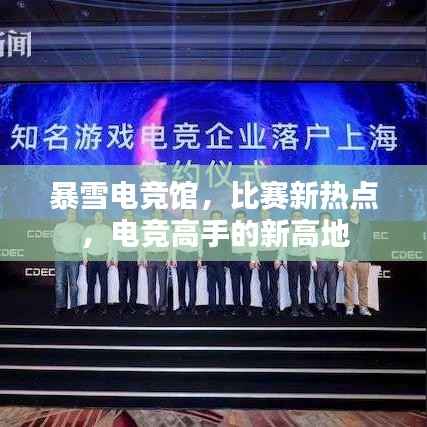 暴雪电竞馆,比赛新热点,电竞高手的新高地