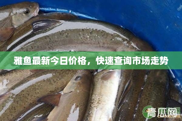 手不释卷 第3页