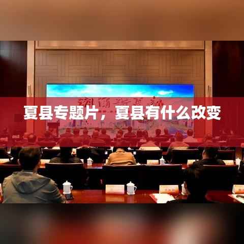 七嘴八张 第3页