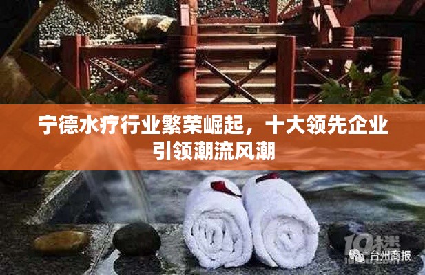 宁德水疗行业繁荣崛起,十大领先企业引领潮流风潮