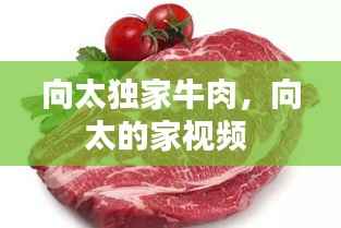 向太独家牛肉，向太的家视频 