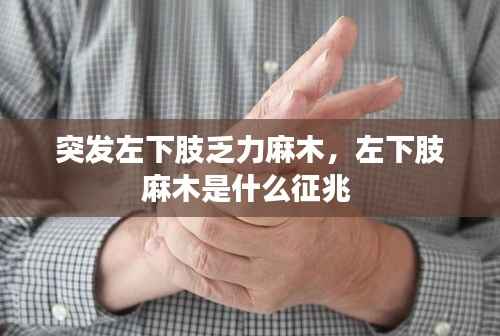 惨淡经营 第3页