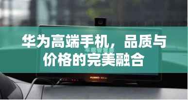 鸟吏鼈官 第4页