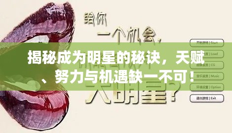 小鸟伊人 第3页